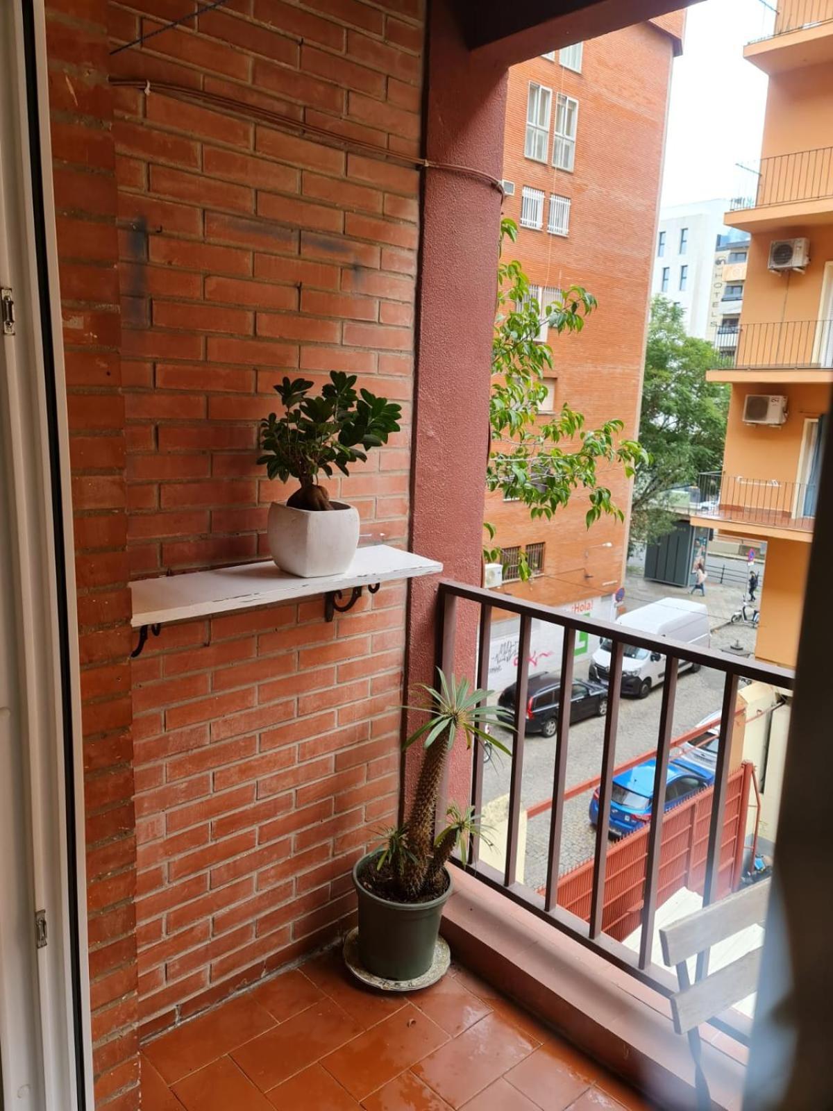 Riverside Albero Plaza de Armas Sevilla Exterior foto